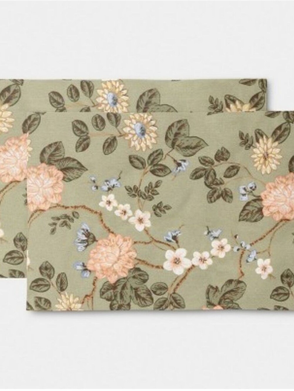 *NWOT* Threshold 2-pk Botanical Floral Placemat